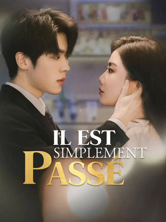 IL EST SIMPLEMENT PASSÉ poster
