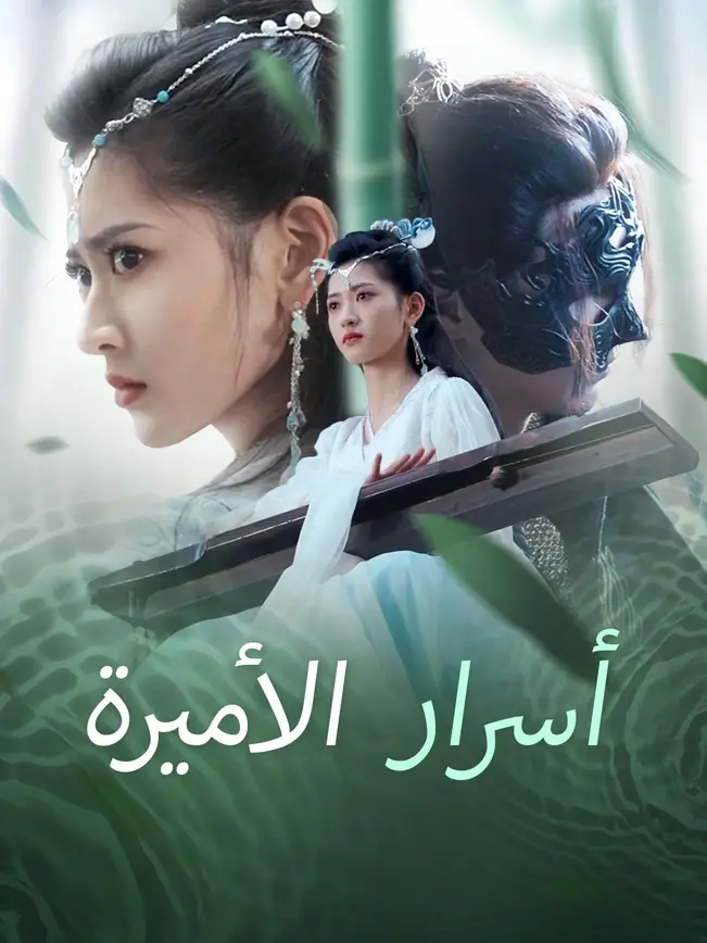 أسرار الأميرة poster