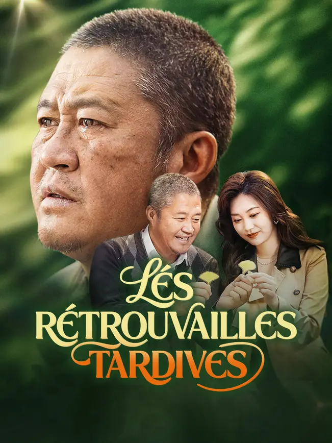 LES RETROUVAILLES TARDIVES poster
