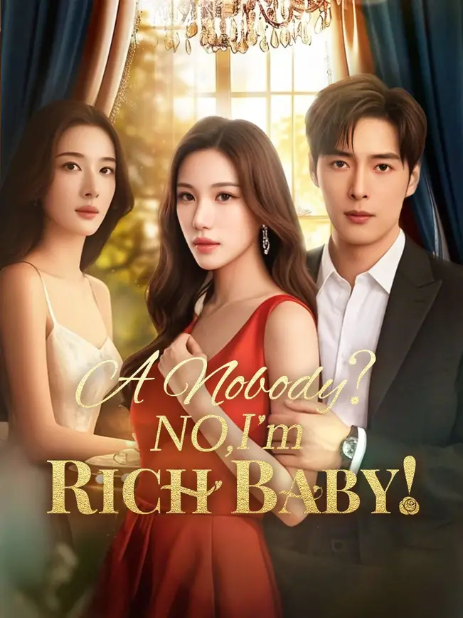 A Nobody? No, I'm Rich Baby! poster