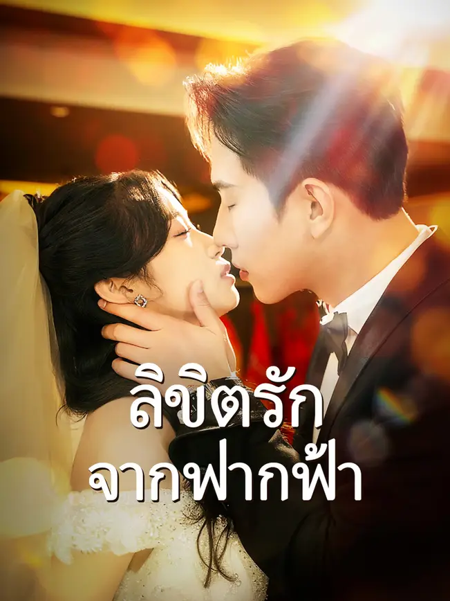 ลิขิตรักจากฟากฟ้า poster
