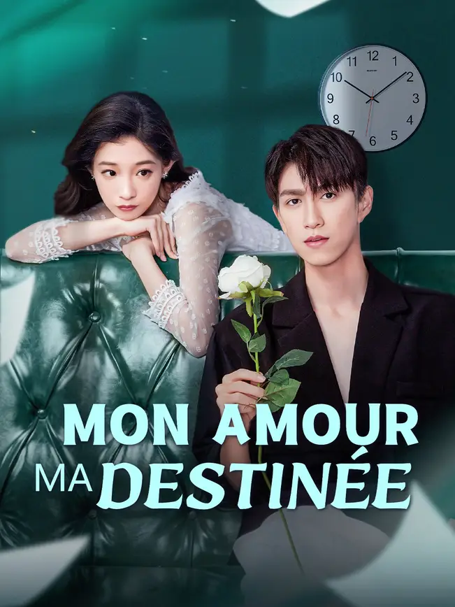 MON AMOUR MA DESTINÉE poster