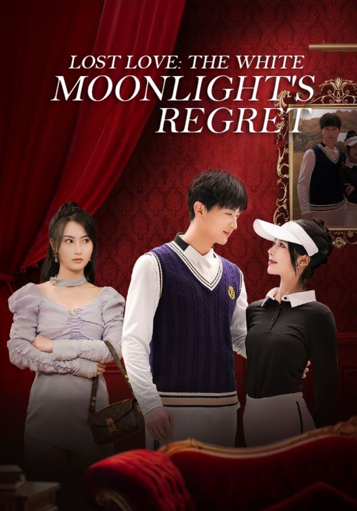 Lost Love: The White Moonlight's Regret poster