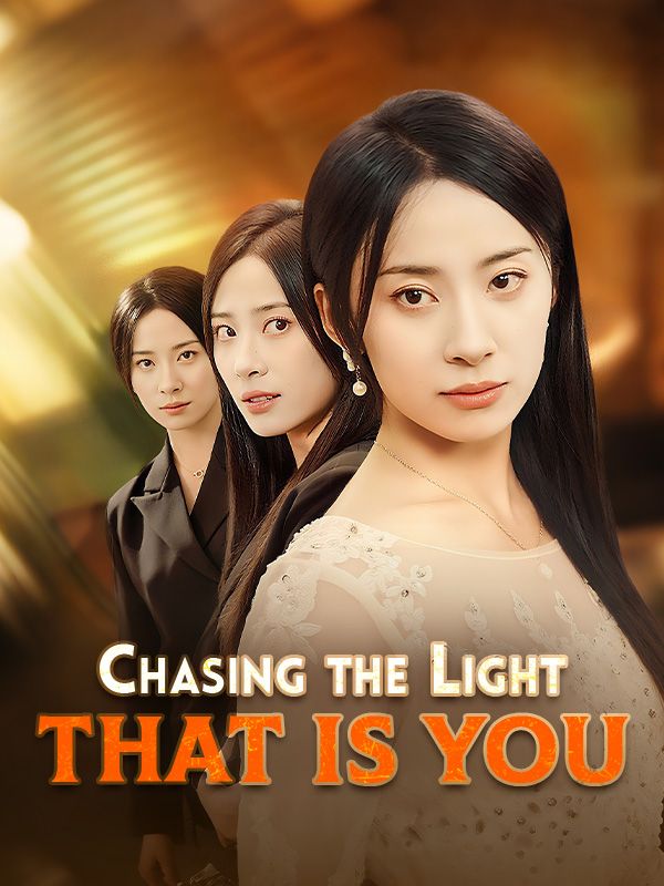 Chasing the Light That Is You poster