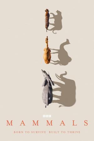 Mammals [Version française]