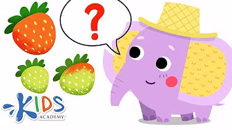Learn sorting & matching for kids background
