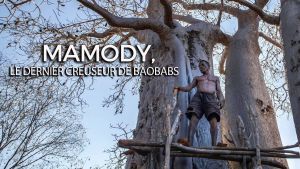 MAMODY le dernier creuseur de baobabs [Version française]