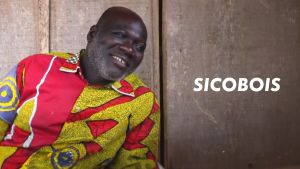 Sicobois [Version française]