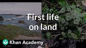 Life on earth and in the universe | Cosmology & Astronomy | Khan Academy