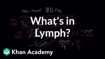 Lymphatic system physiology | NCLEX-RN | Khan Academy