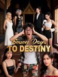 Seven Days to Destiny