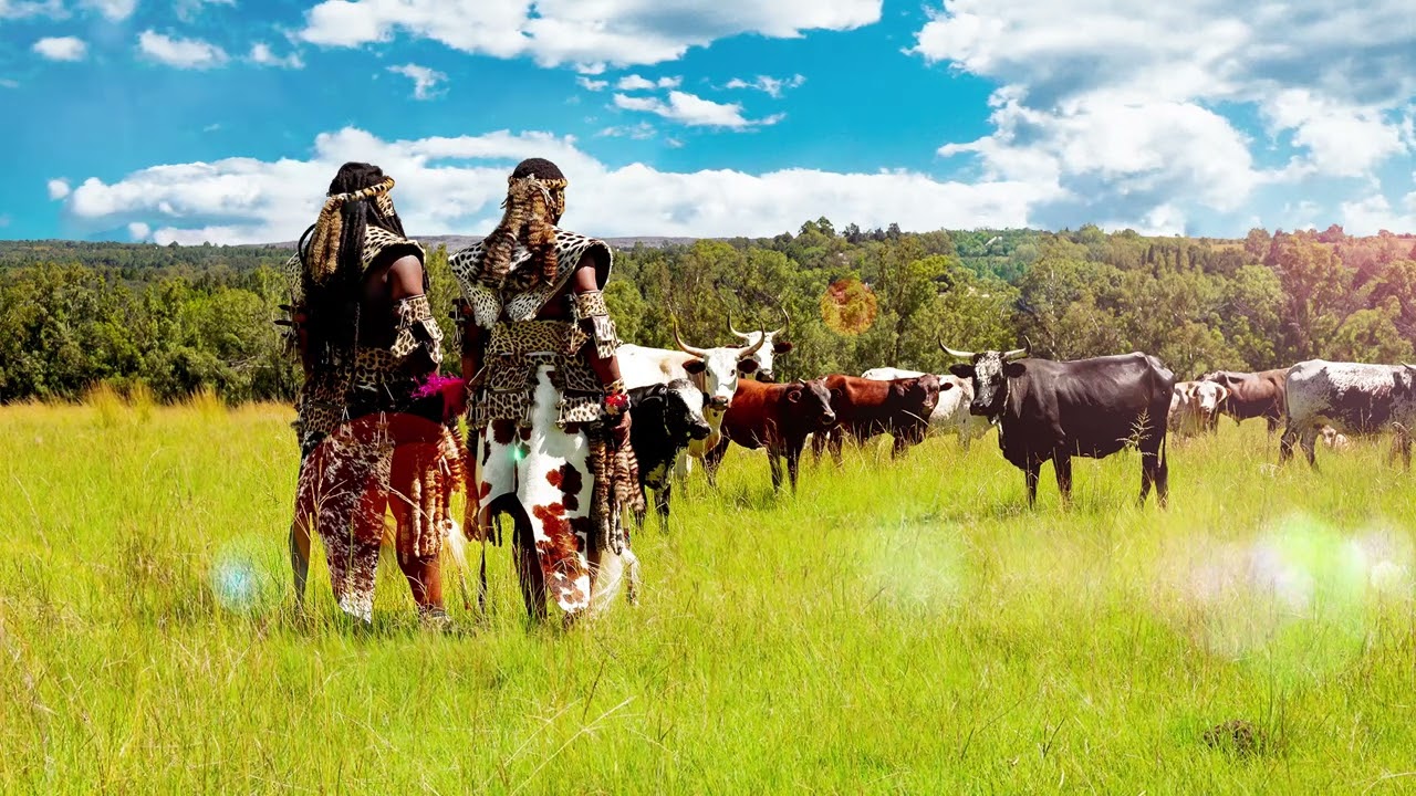 Inkabi Zezwe, Sjava & Big Zulu - Sayona [Official Visualiser]