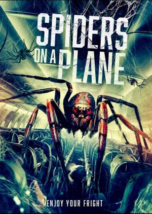 Spiders on a Plane [Russian]