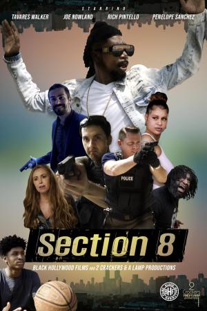 Section 8 [Russian]