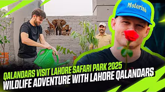 Qalandars Visit Lahore Safari Park 2025 | Wildlife Adventure with Lahore Qalandars backdrop