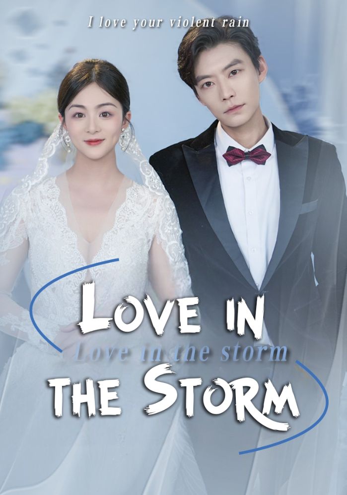 Love in the Storm poster