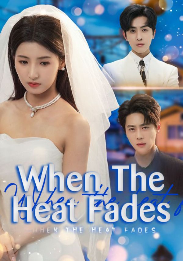 When the Heat Fades poster