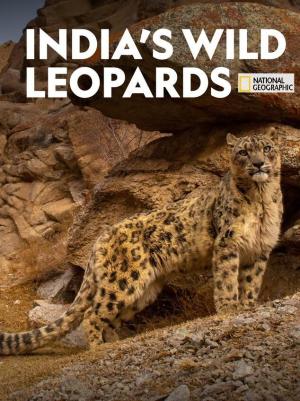 India's Wild Leopards [Kurdish]