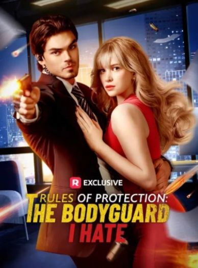 Rules of Protection: The Bodyguard I Hate poster