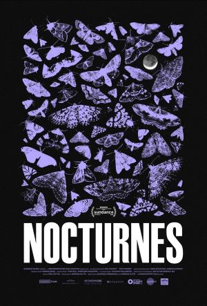 Nocturnes [Indonesian]