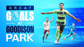 GREAT GOALS AT GOODISON PARK! | Toure, Mahrez, Bernardo, Gundogan amazing goals! backdrop