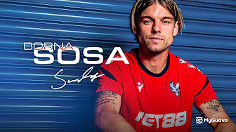 "The fans are positively CRAZY" ðŸ‡ðŸ‡· Borna Sosa | First Interview
