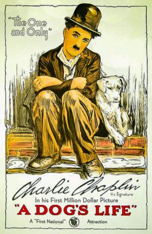 A Dog's Life [Kurdish]
