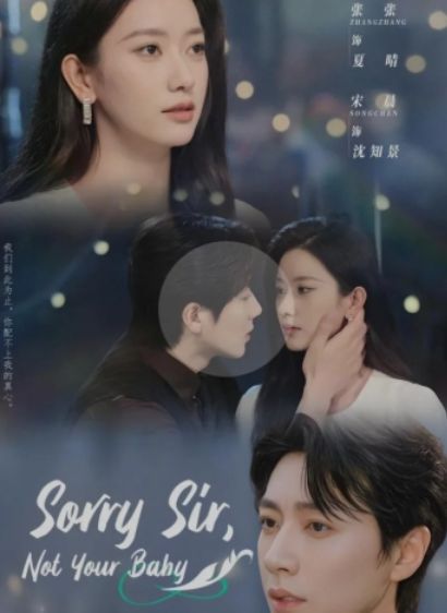 Sorry Sir, Not Your Baby poster
