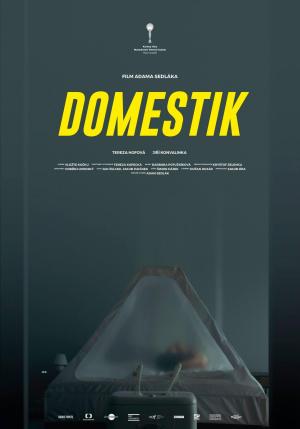 Domestik [Russian]