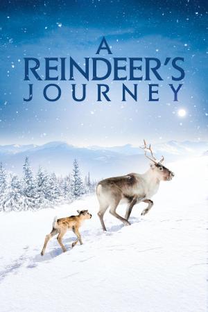 Ailo's Journey [Russian]