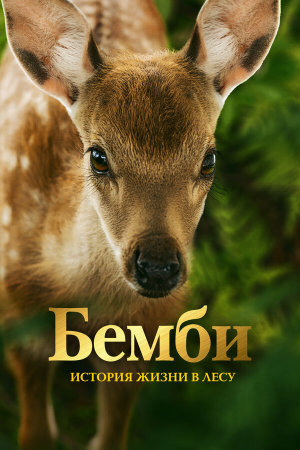 Bambi, l'histoire d'une vie dans les bois [Russian]