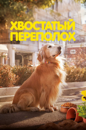 Dogeu deijeu [Russian]