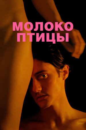 Молоко птицы [Russian]