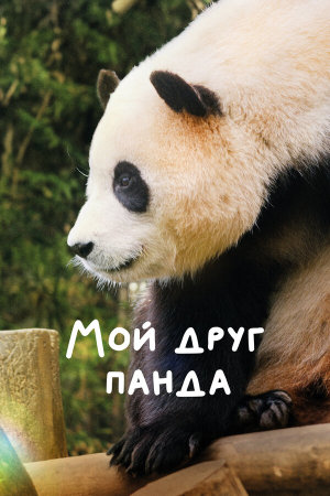 Annyeong, halbuji [Russian]