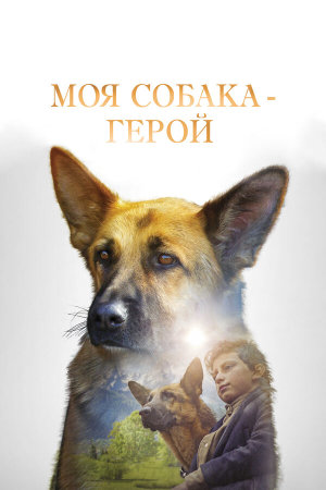 SHEPHERD: The Story of a Jewish Dog [Russian]