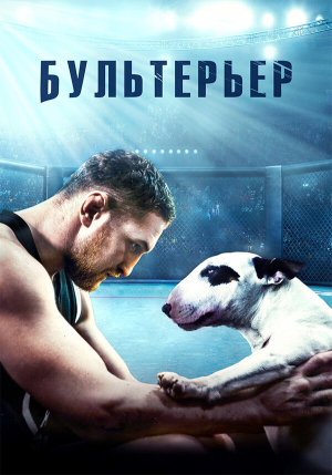 Бультерьер [Russian]