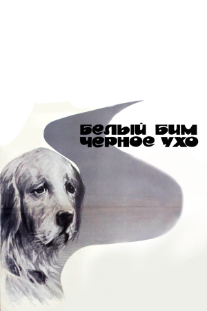 Белый Бим Черное ухо [Russian]
