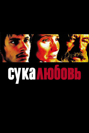 Amores perros [Russian]