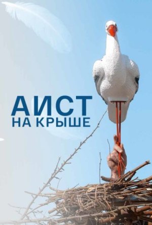 Аист на крыше [Russian]