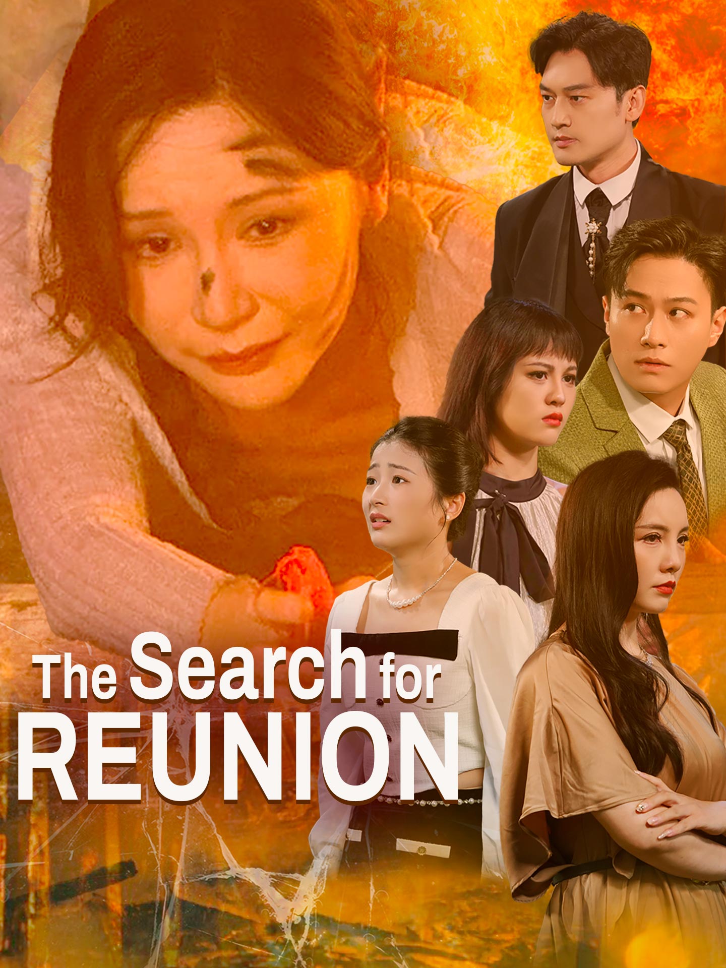 The Search for Reunion poster