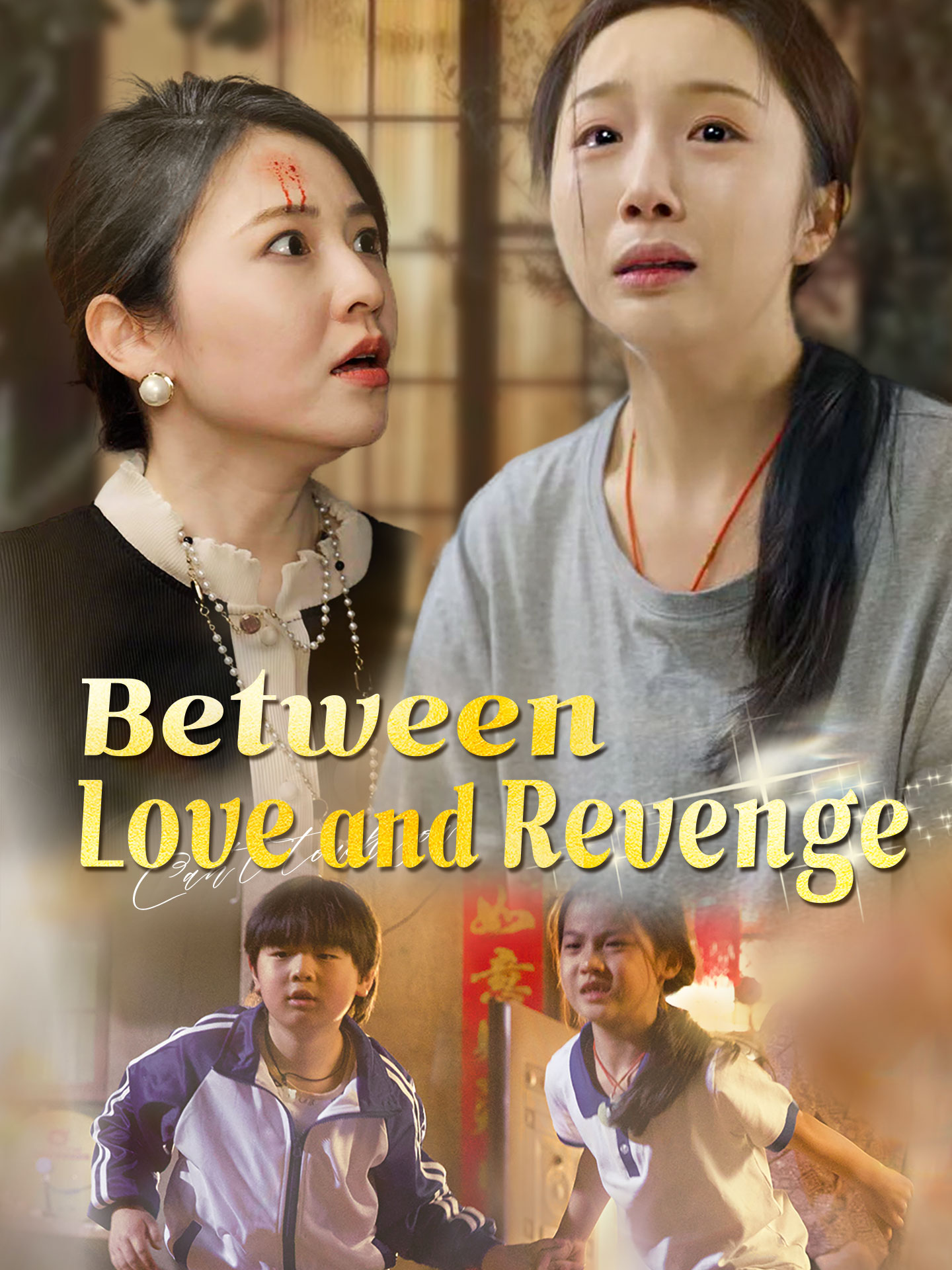 Between Love and Revenge poster