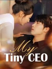 My Tiny Ceo poster
