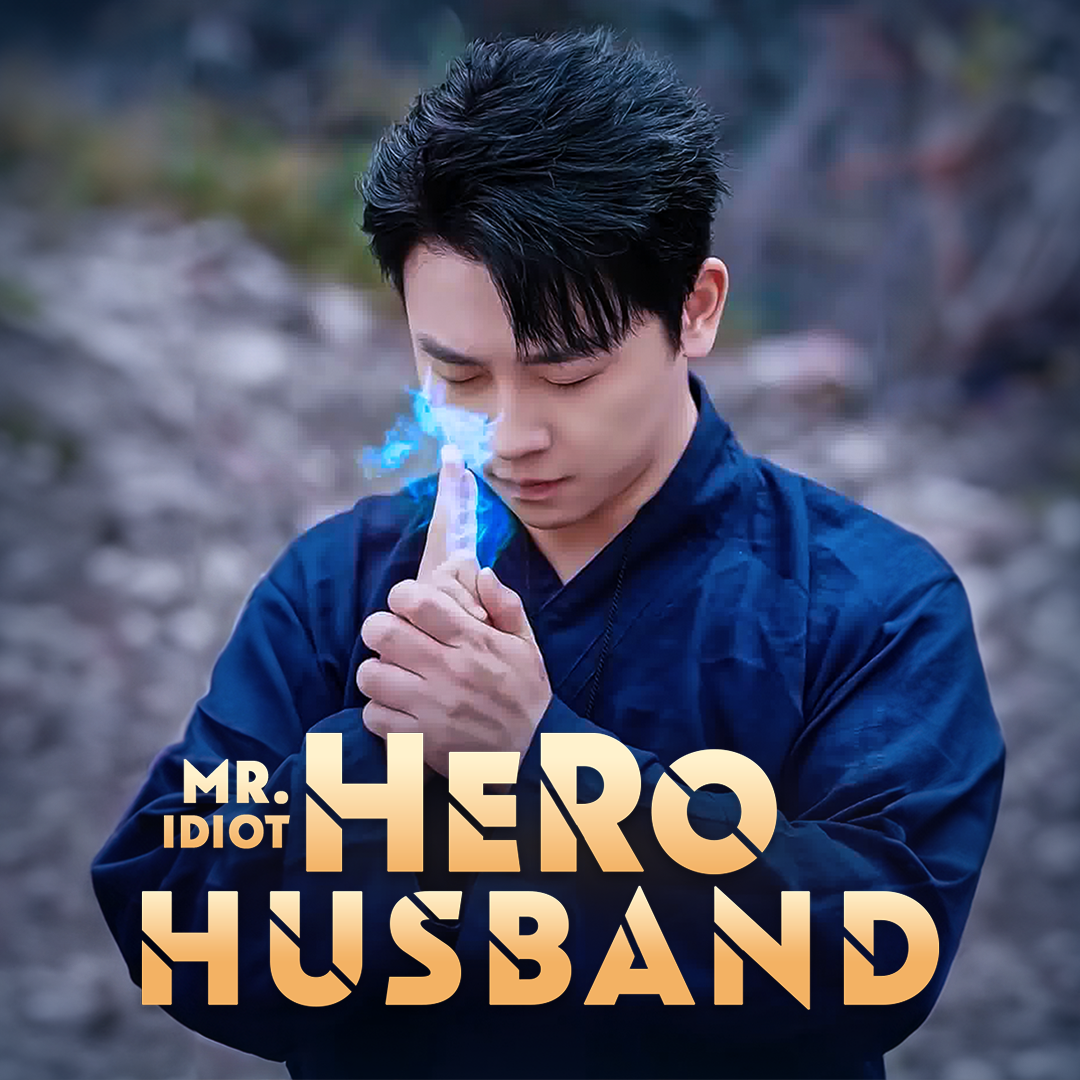 Mr. Idiot, Hero Husband [Bengali] poster