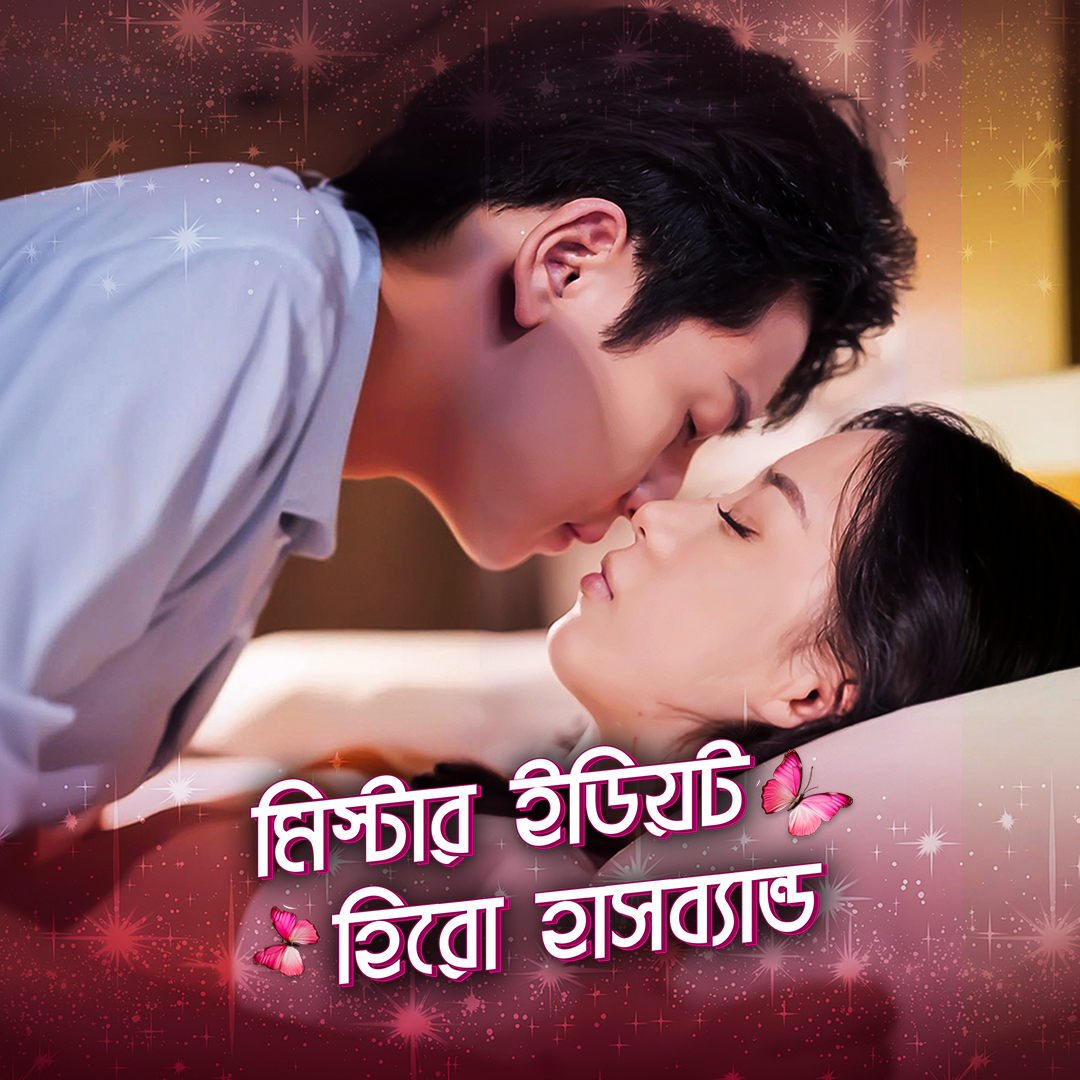 Mr Idiot Hero Husband [Bengali] poster