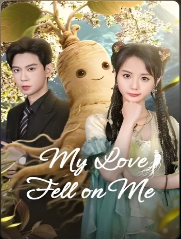 My Love Fell On Me poster