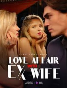 Love Affair with Ex-Wife poster