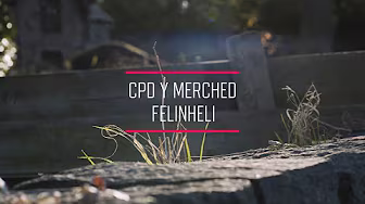 When TWO Became ONE! ⚽️ The Story Of Y Felinheli's Women's Football Club! ♥️