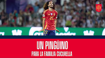 🐧 Un pingüino para la familia Cucurella | 🔴 SEFUTBOL background