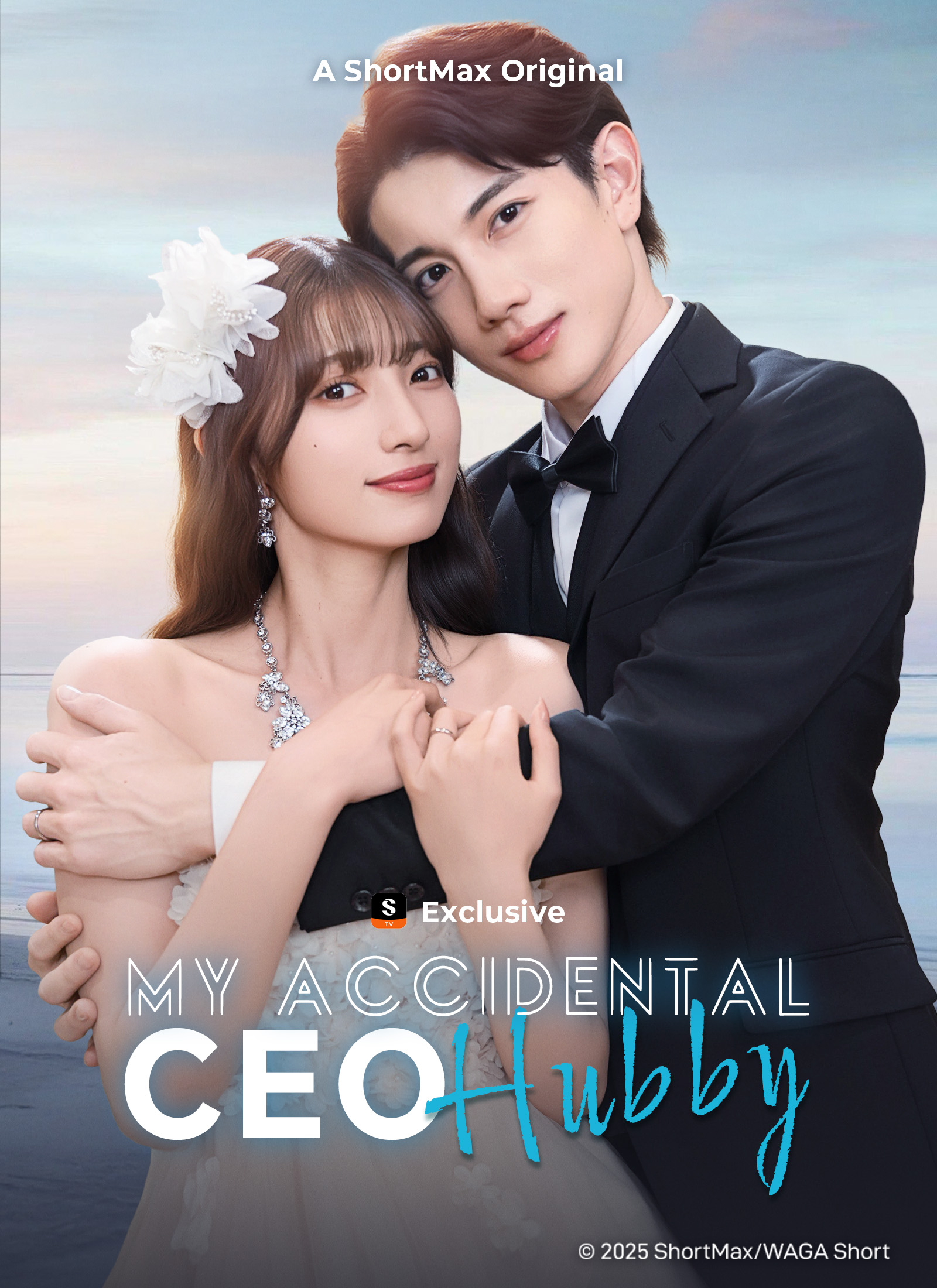 My Accidental CEO Hubby poster
