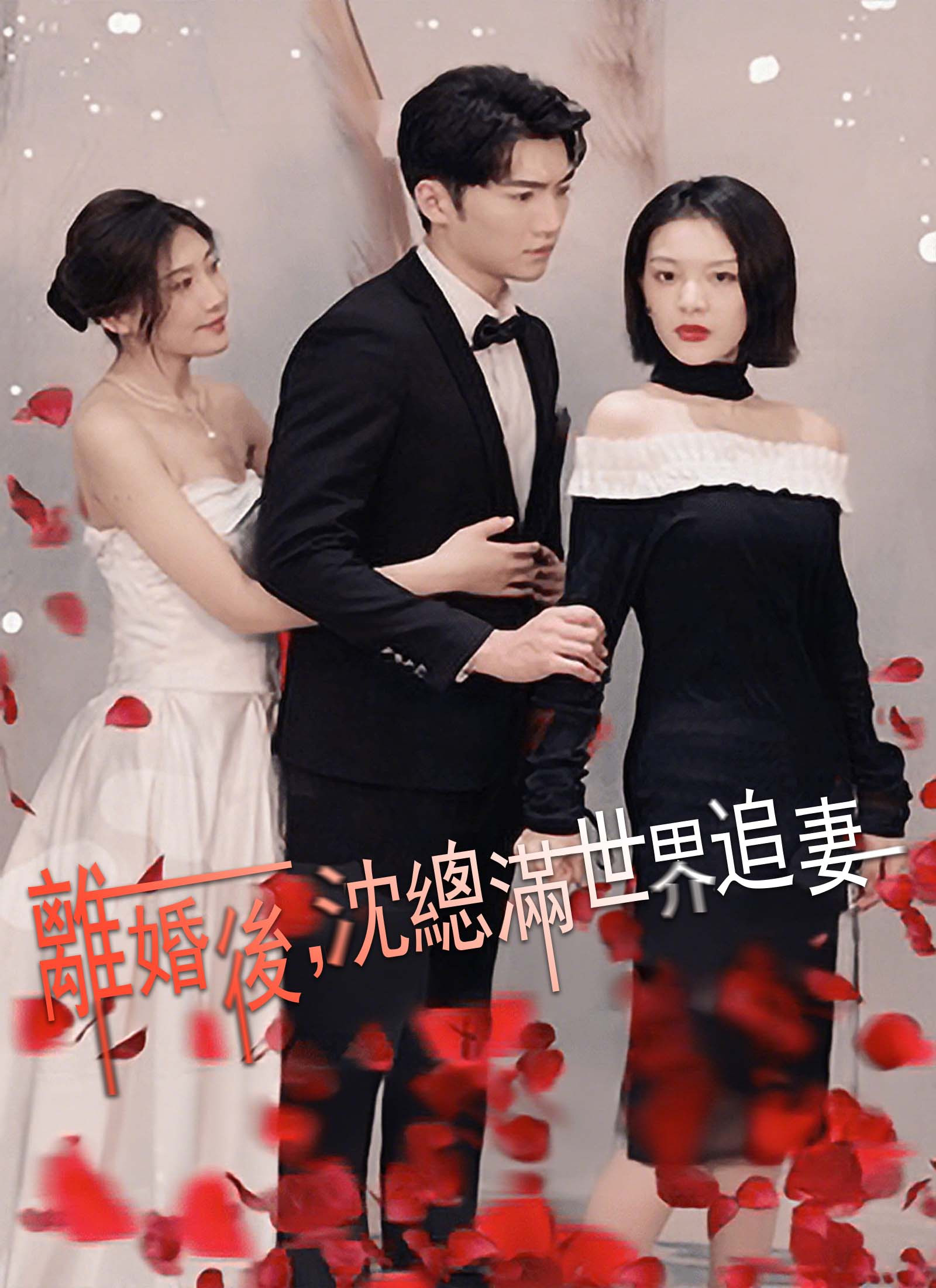 After the divorce, Mr. Shen chases his wife around the world poster